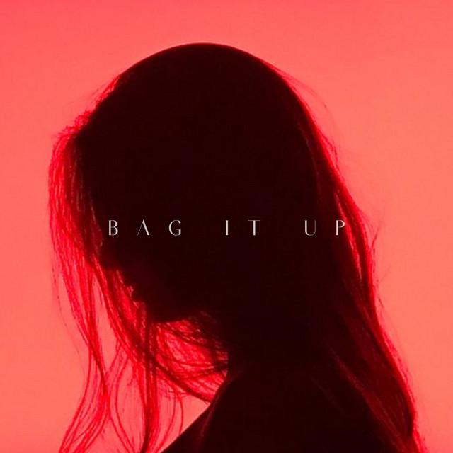 Omslag till BAG IT UP